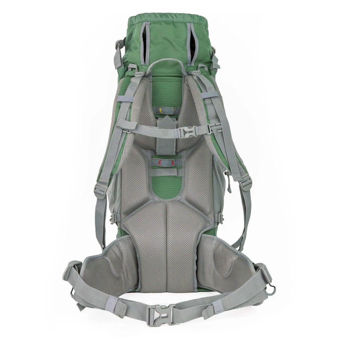 Additional view of the Myrtle Green K9 Sport Sack Kolossus dog carrier backpack