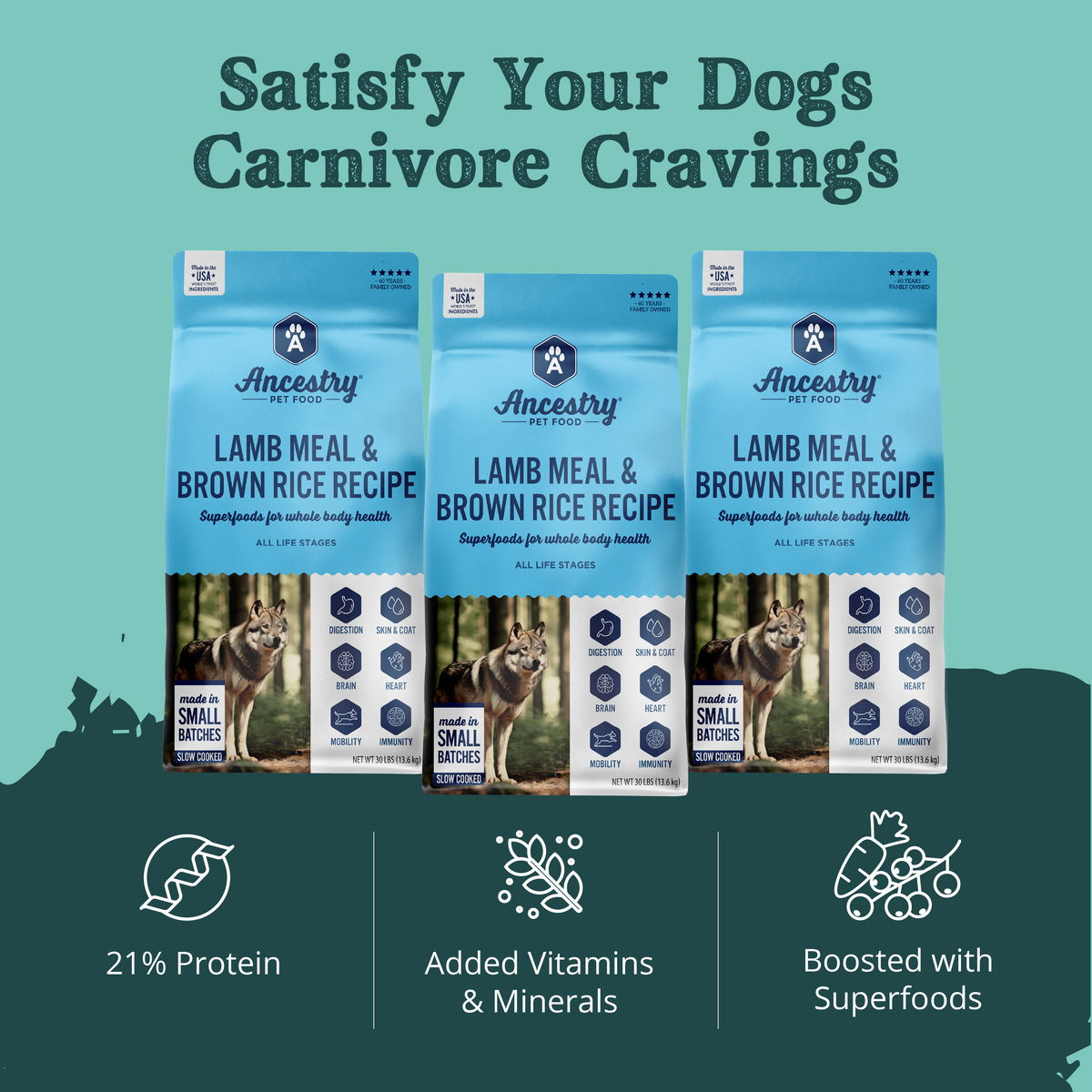 Health Extension Lamb Meal with Rice product feature graphic