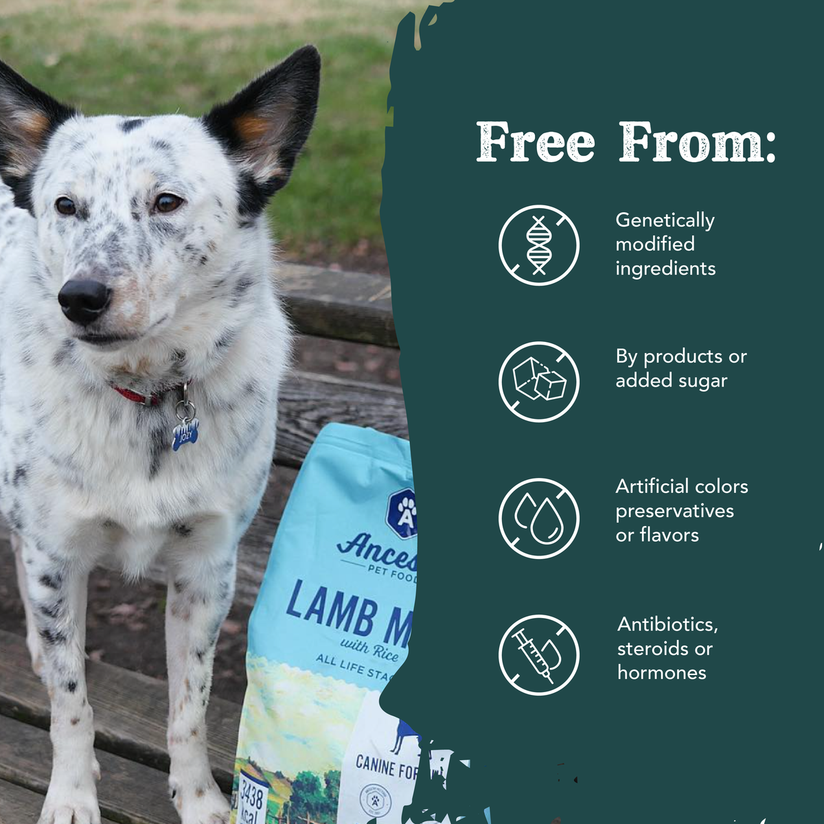 Health Extension Lamb Meal with Rice ingredient information