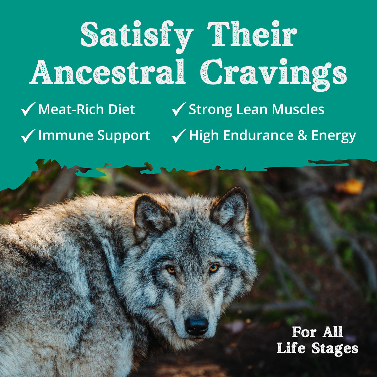 Lamb Meal with Rice dog food feeding information