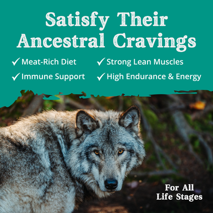 Lamb Meal with Rice dog food feeding information