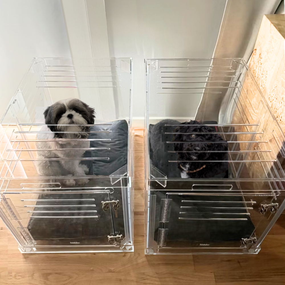 Hiddin Large Clear Pet Crate - Silver Latch