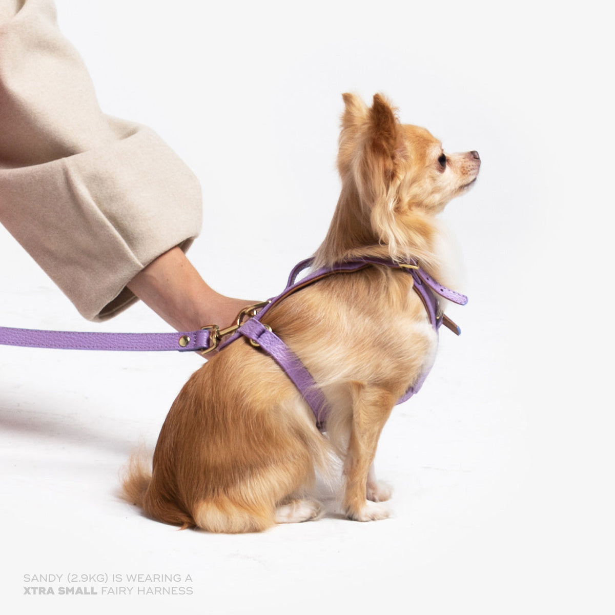 Fairy Heritage Harness lilac view