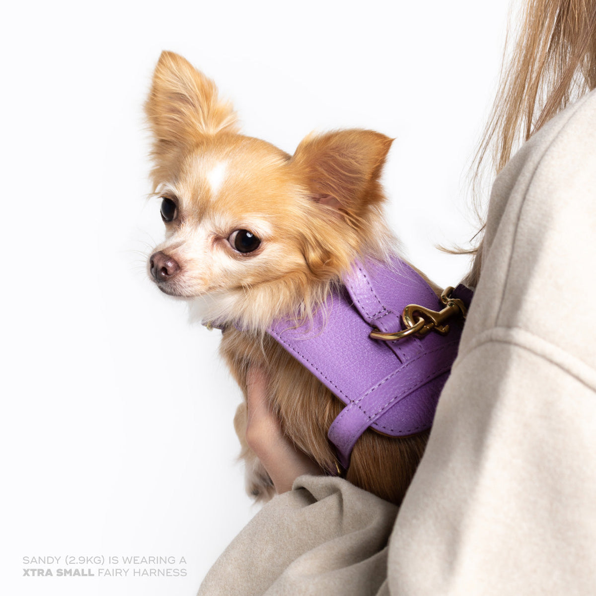 Fairy Heritage Harness lilac view