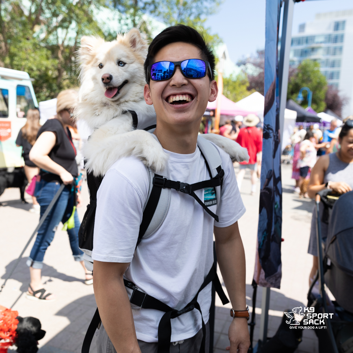 Lunar Rock K9 Sport Sack Knavigate dog carrier backpack in use