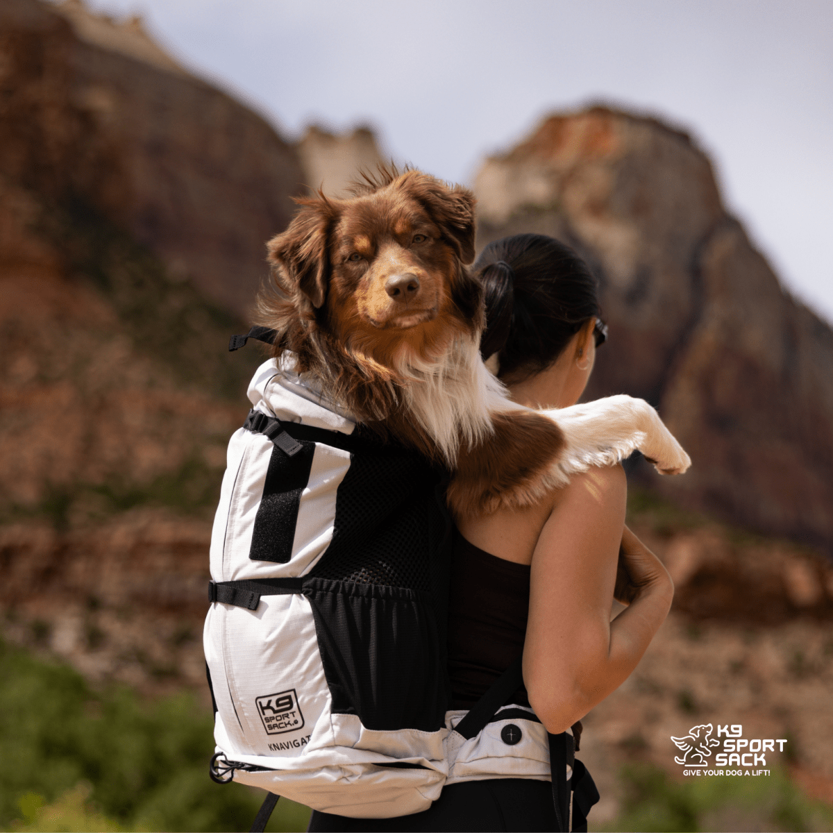 Lunar Rock K9 Sport Sack Knavigate dog carrier backpack in use