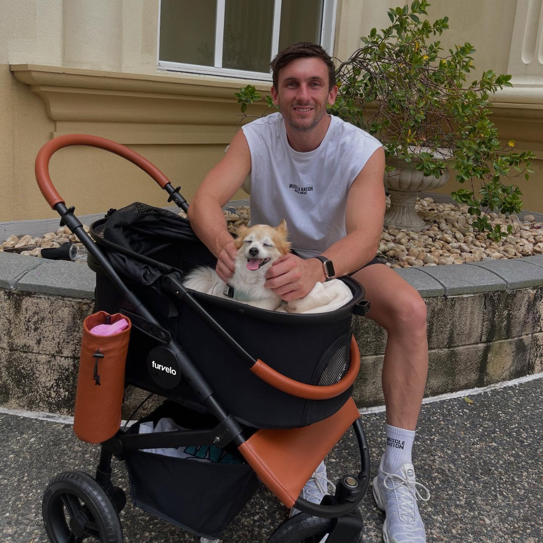 Man seated beside a small dog riding in a black Furvelo Jogger pet stroller