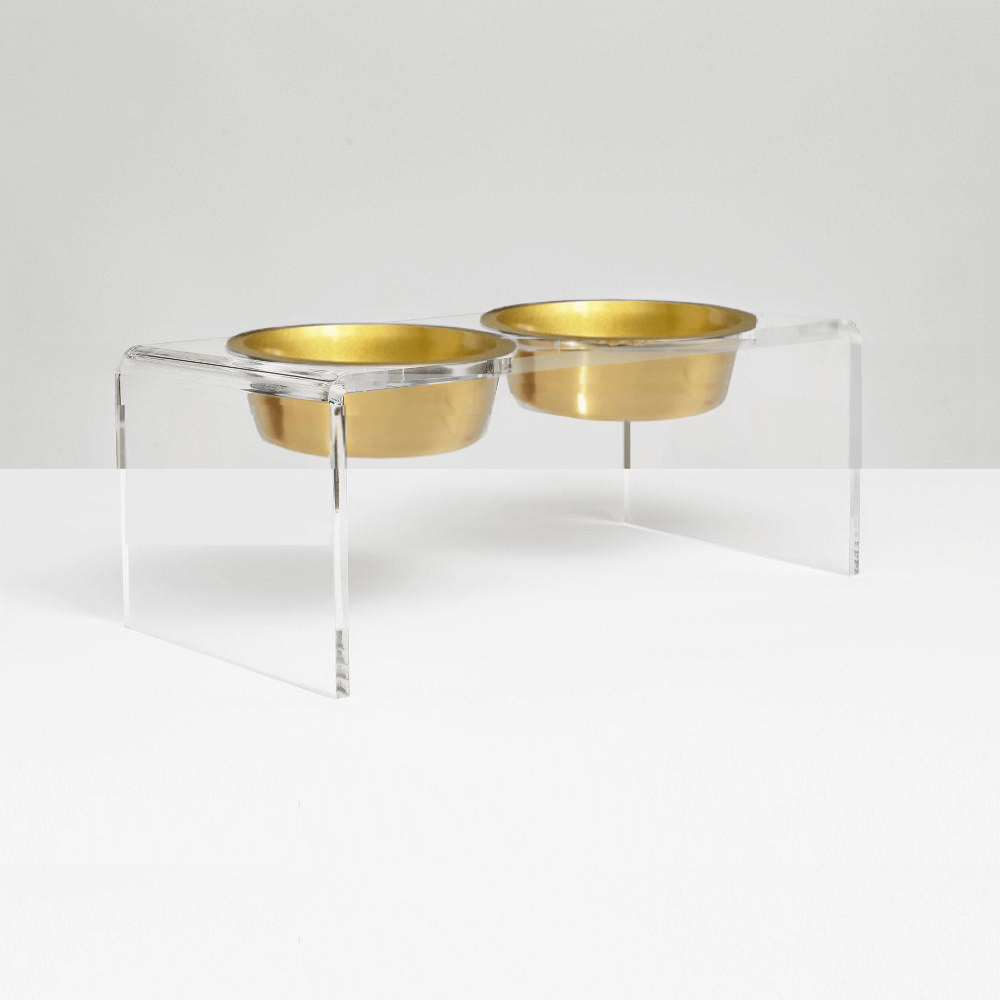Hiddin Medium Gold raised pet feeder
