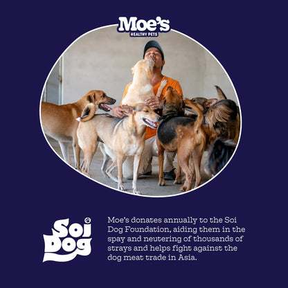 Person with dogs and Moe's Healthy Pets branding on a blue background