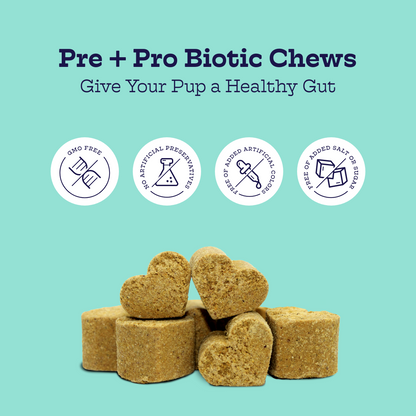 Heart-shaped pre and pro biotic chews for dogs with a light blue background and text about their benefits.
