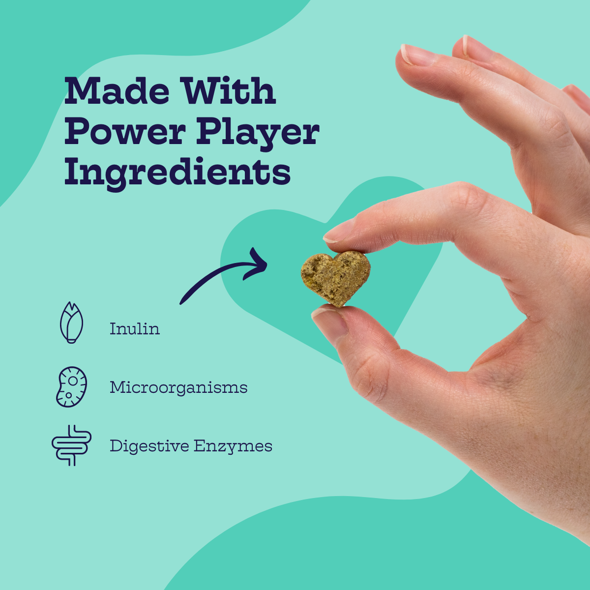 Hand holding a heart-shaped pet treat with 'Made With Power Player Ingredients' text and icons on a teal background