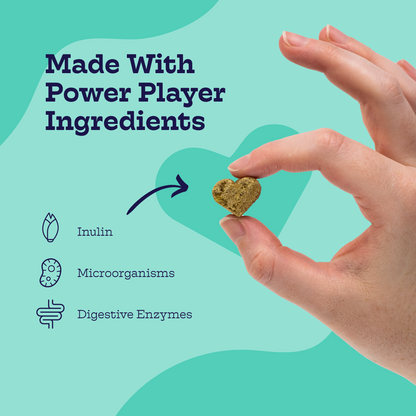 Hand holding a heart-shaped pet treat with 'Made With Power Player Ingredients' text and icons on a teal background