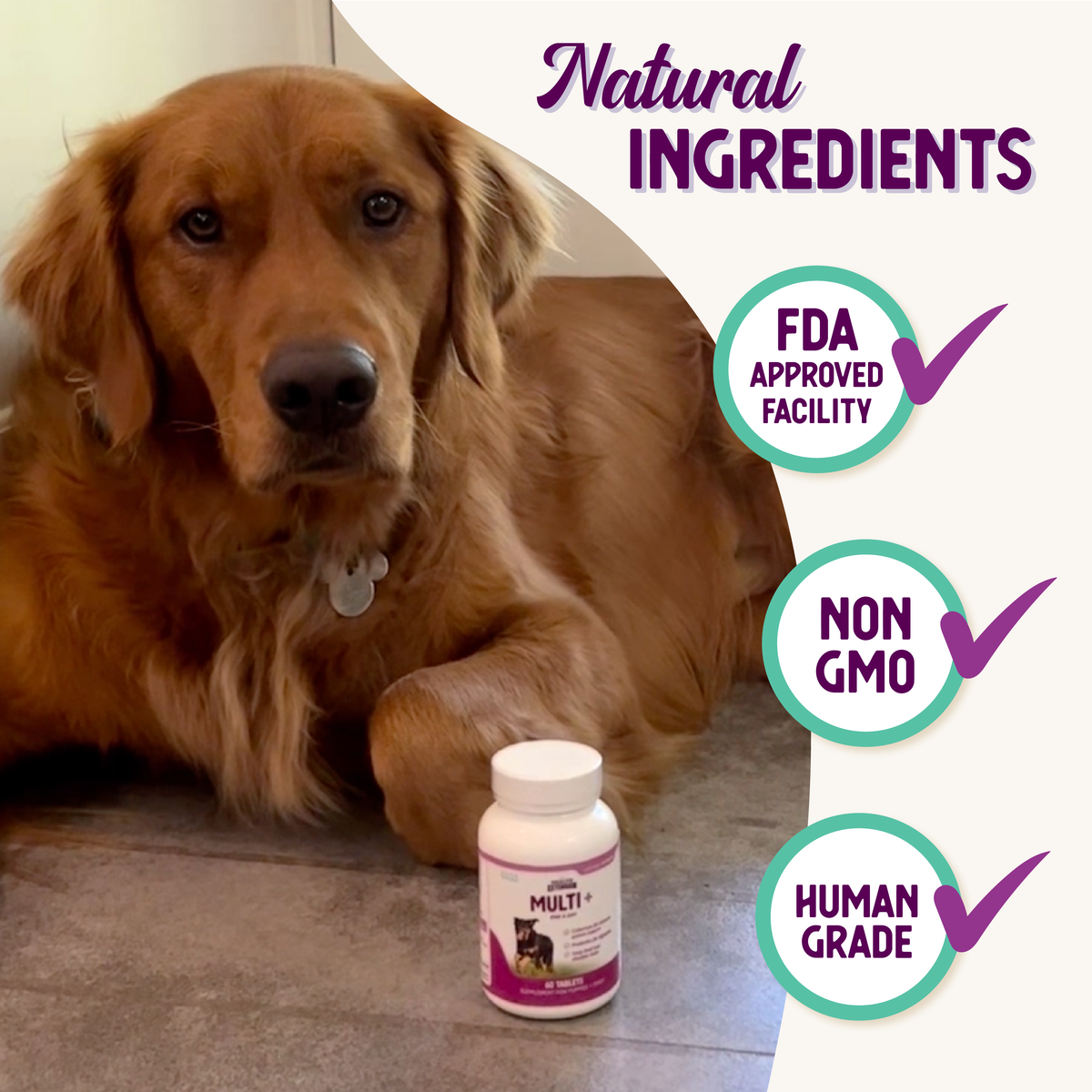 Multi + Lifetime Vitamins — product information graphic 8