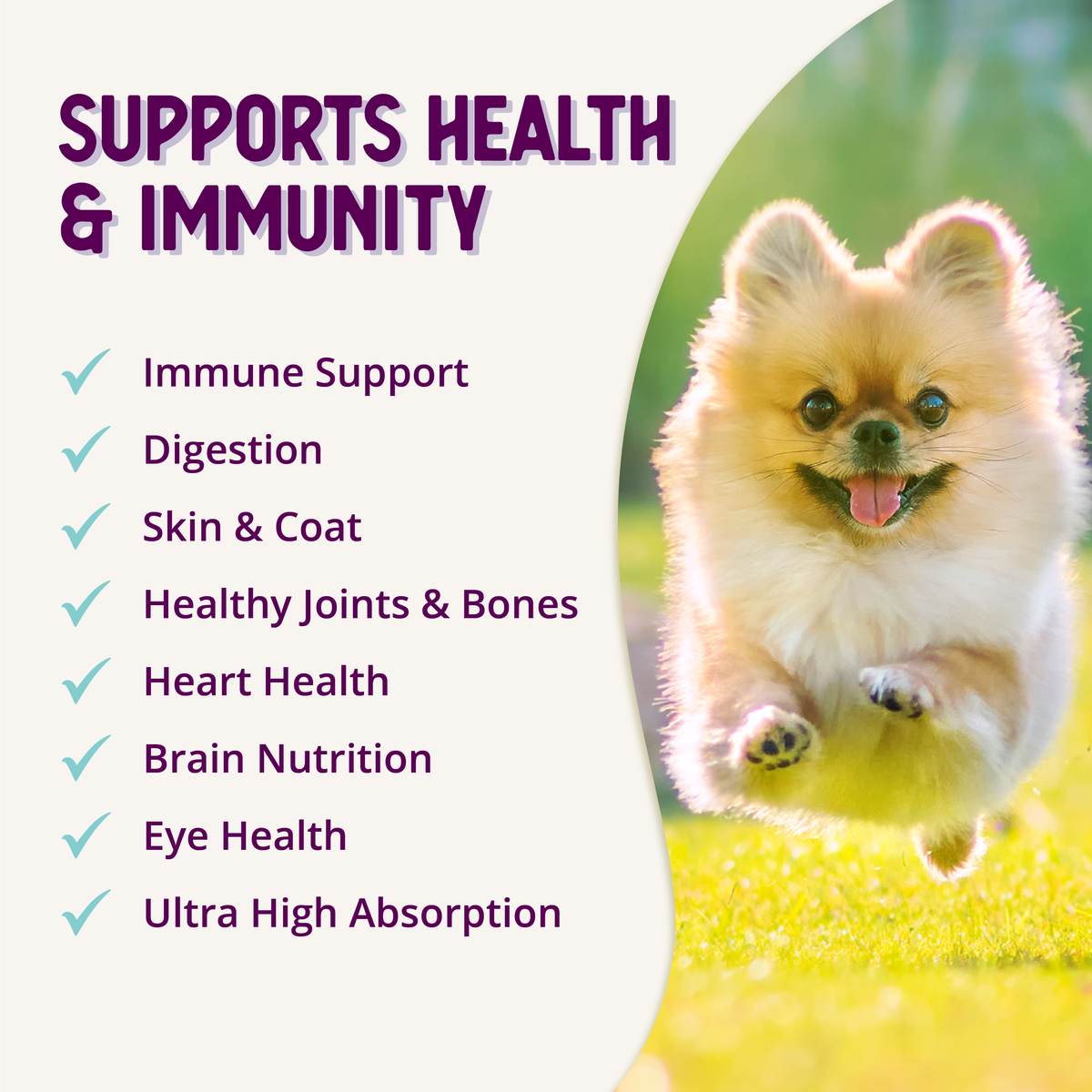 Multi + Lifetime Vitamins — product information graphic 10