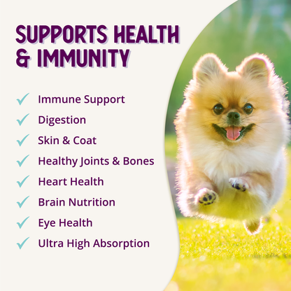 Multi + Lifetime Vitamins — product information graphic 10
