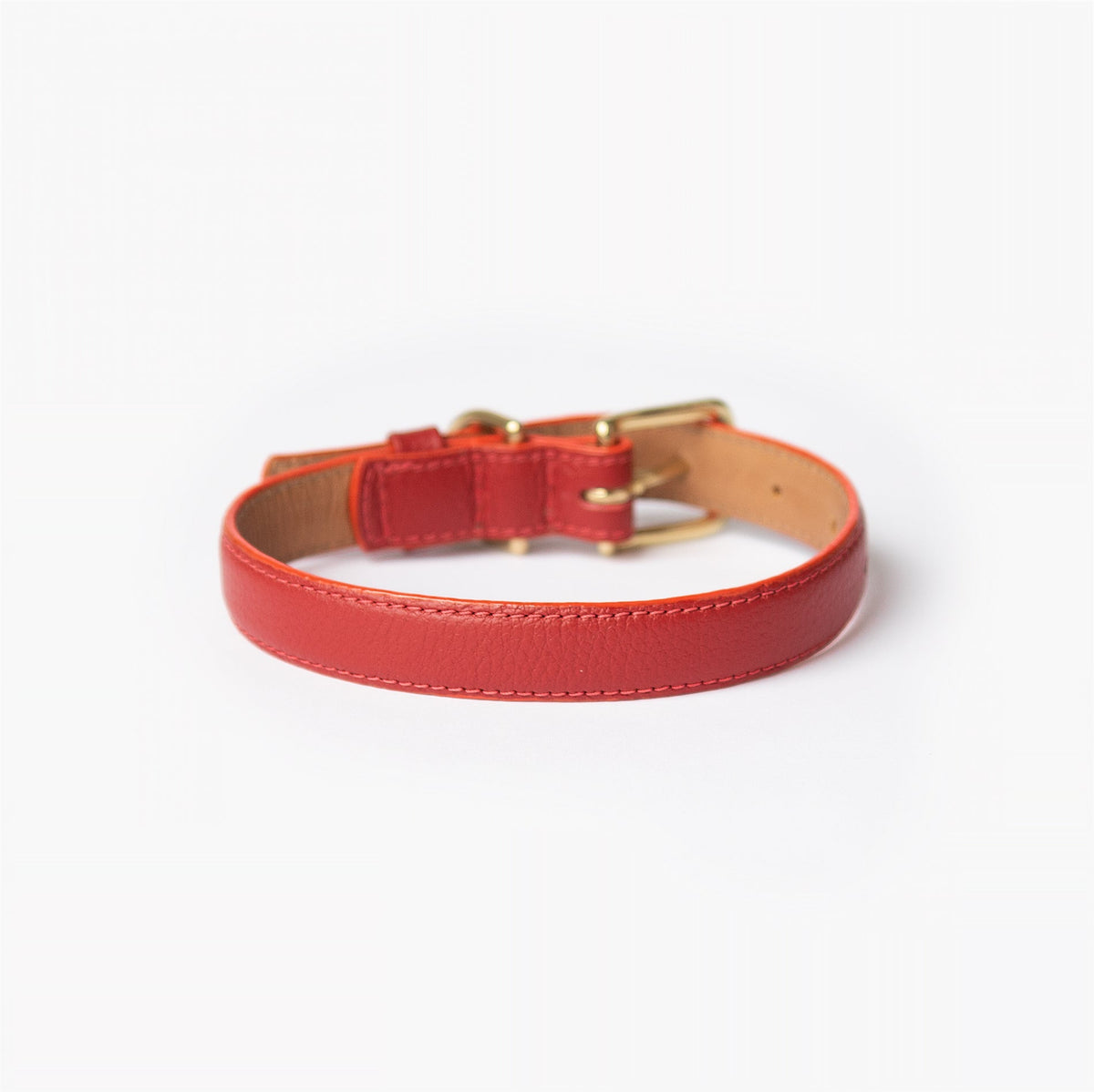 Back view of the Mars red leather dog collar