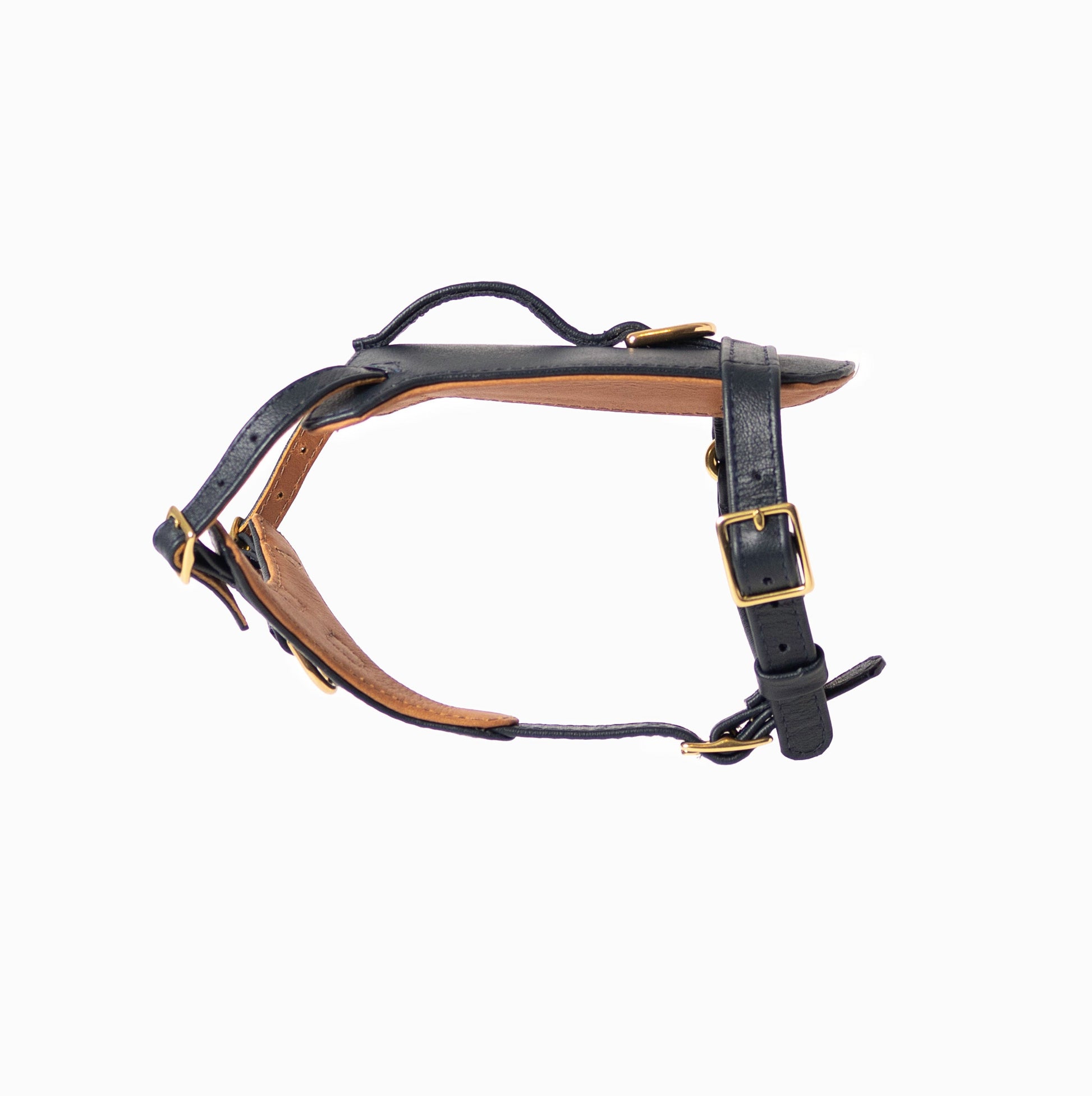Additional view of the Ramona For You Midnight Heritage Harness