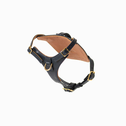 Additional view of the Ramona For You Midnight Heritage Harness