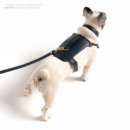 Ramona For You Midnight Heritage Harness in deep navy leather