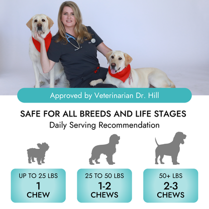 Imagen de características de Pet Vet Products® Premios blandos multifunción para perros - 60 unidades, 5 de 6