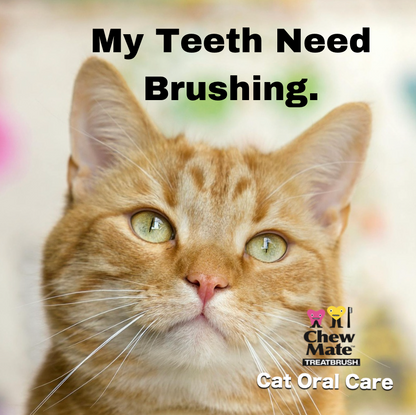 Oral Care Floss & Treat Toothbrush Toys for Cats - 2 Pack product information graphic 2