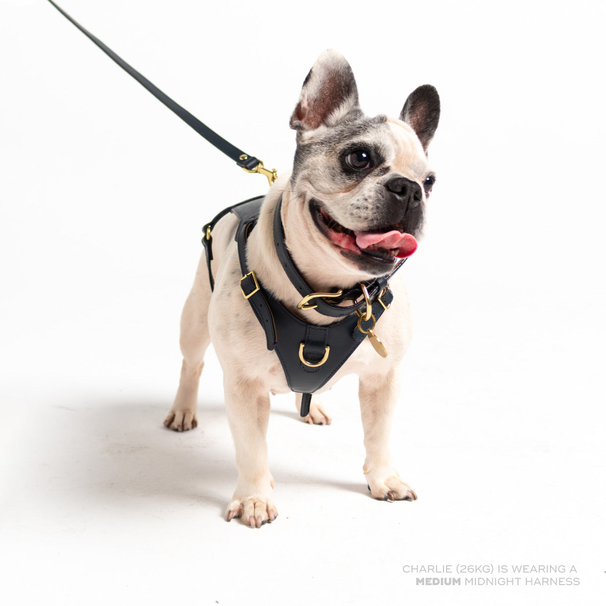 Ramona For You Midnight Heritage Harness in navy leather