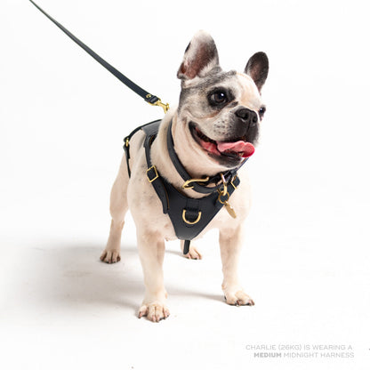 Ramona For You Midnight Heritage Harness in navy leather