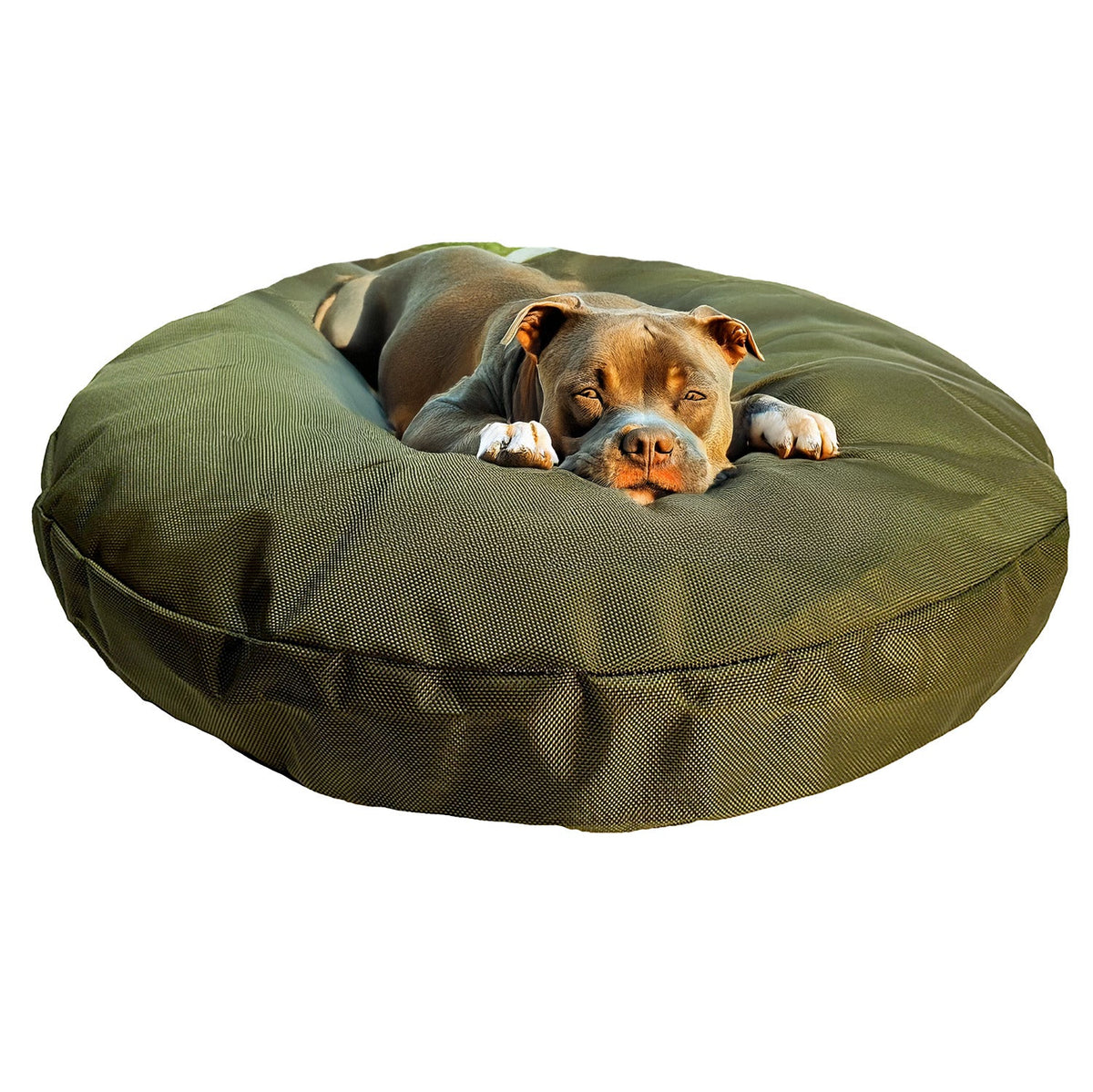 Dog resting on an olive Round Armor Dog Bed