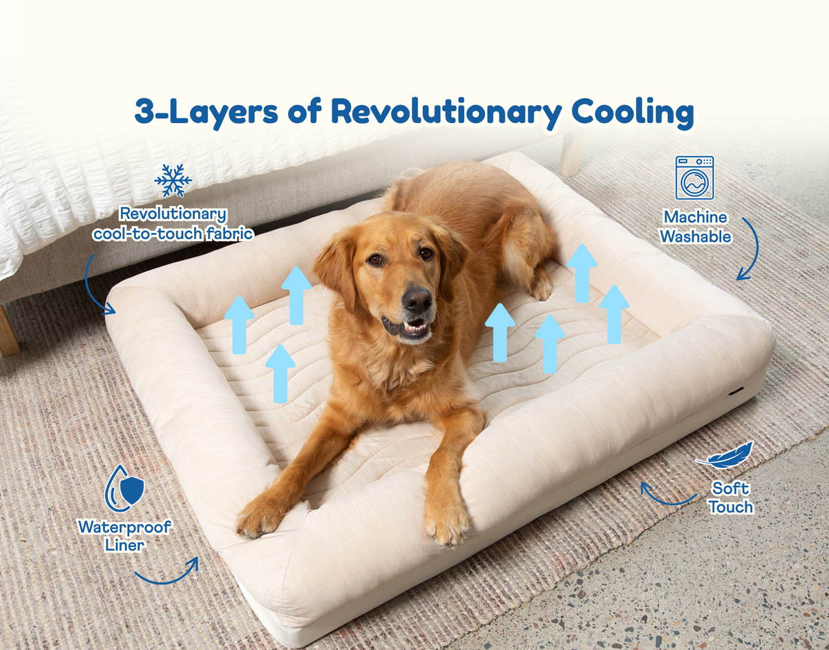 Gráfico informativo de PupChill™ Cooling 4-Bolster Dog Bed - Arctic Sand, vista 1