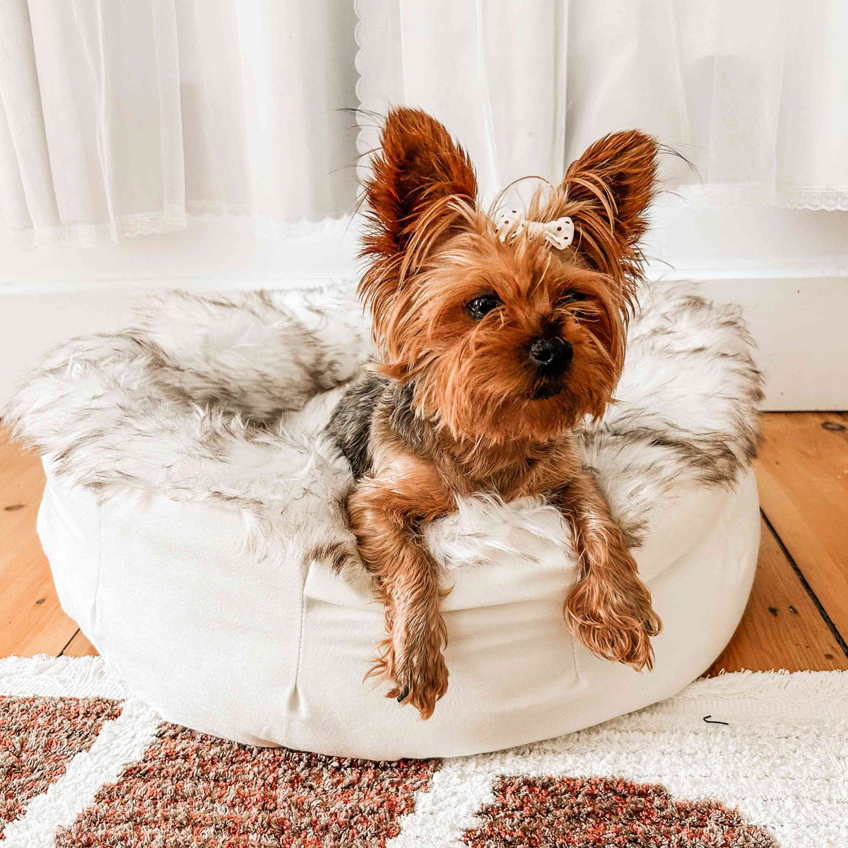 PupPouf faux fur donut dog bed by Paw.com - alternate lifestyle view