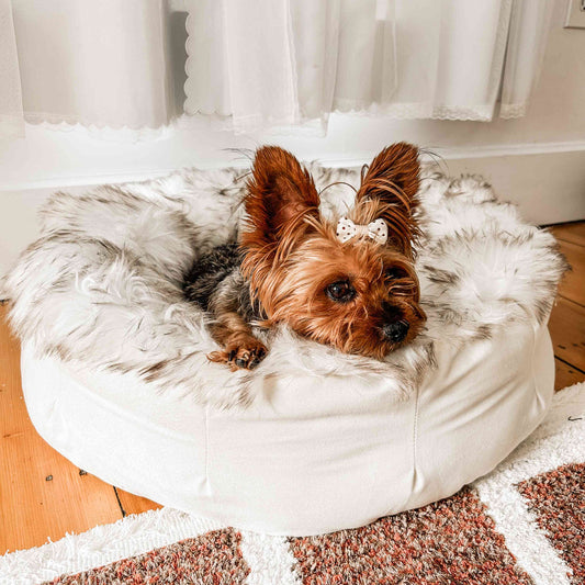PupPouf faux fur donut dog bed in white with brown accents