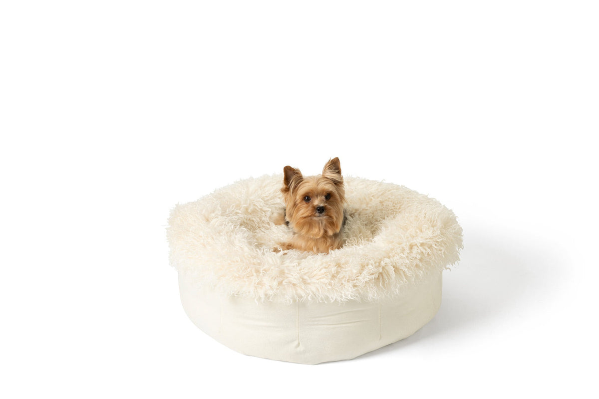 Dog resting in the PupPouf plush sheep ivory donut bed