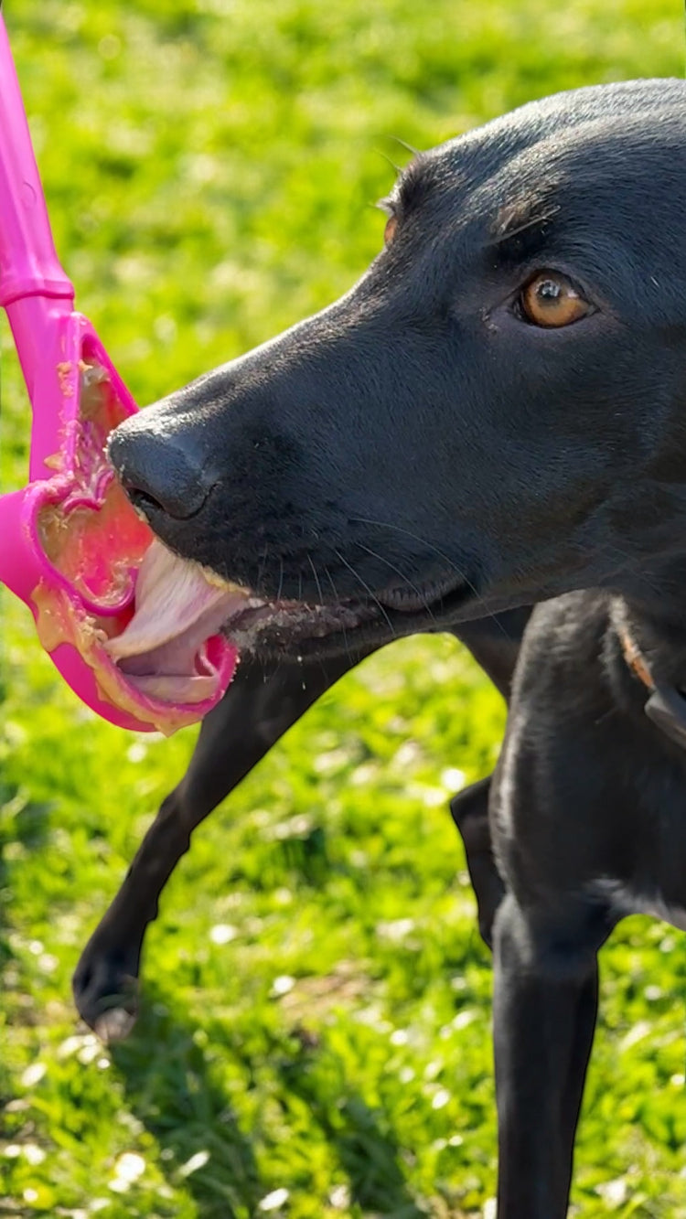 Additional view of the SodaPup eStick handheld enrichment toy