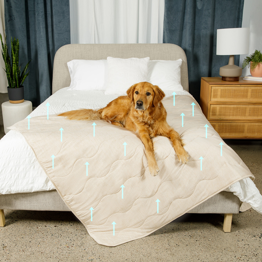 Paw.com PupChill™ Cooling Waterproof Blanket in Arctic Sand