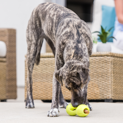 Additional view of the West Paw Qwizl dog enrichment toy