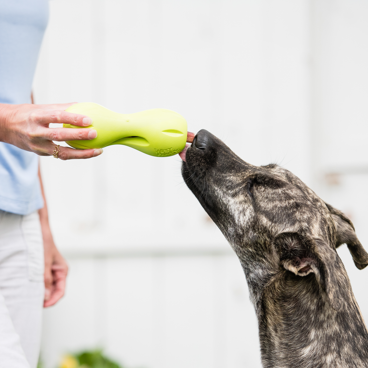 Additional view of the West Paw Qwizl dog enrichment toy