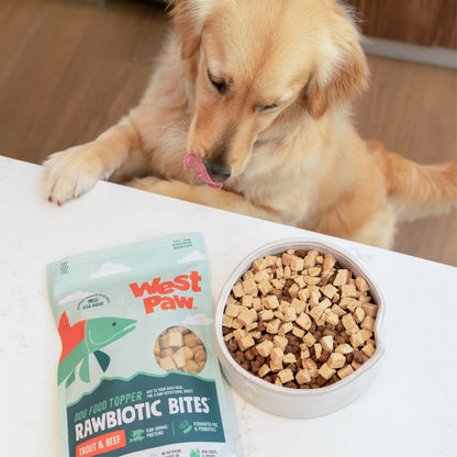 Golden retriever beside a bowl topped with Trout and Beef Rawbiotic Bites.