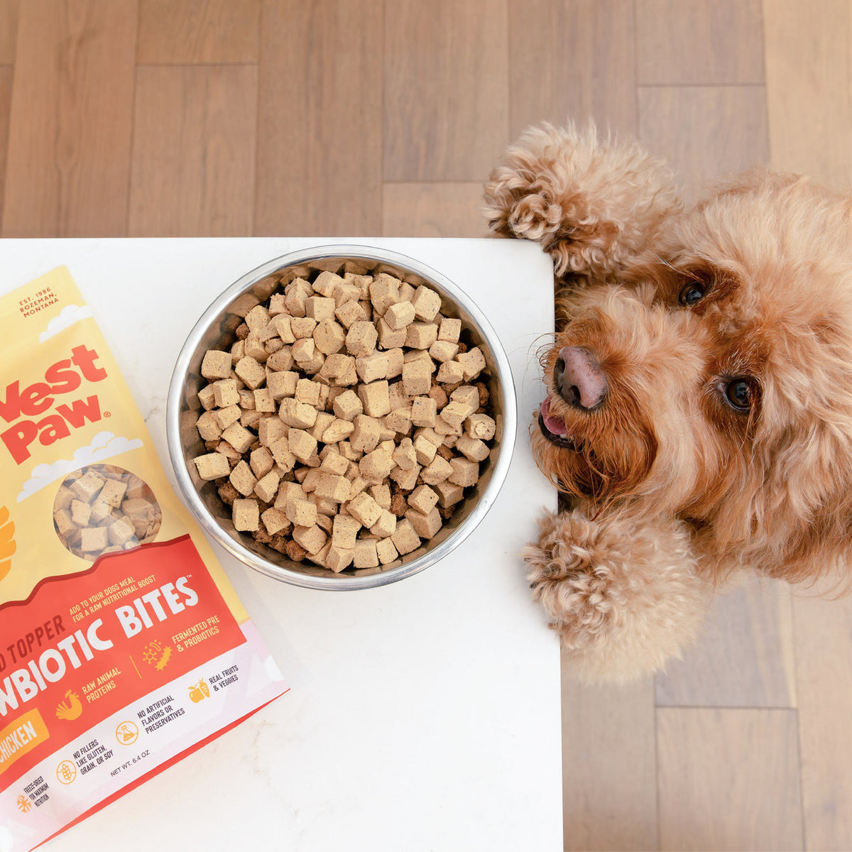 Dog beside a bowl topped with West Paw Chicken Rawbiotic Bites