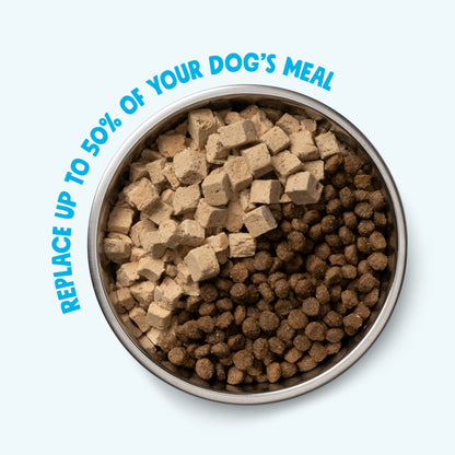 Dog bowl showing freeze-dried Trout and Beef topper mixed with kibble.