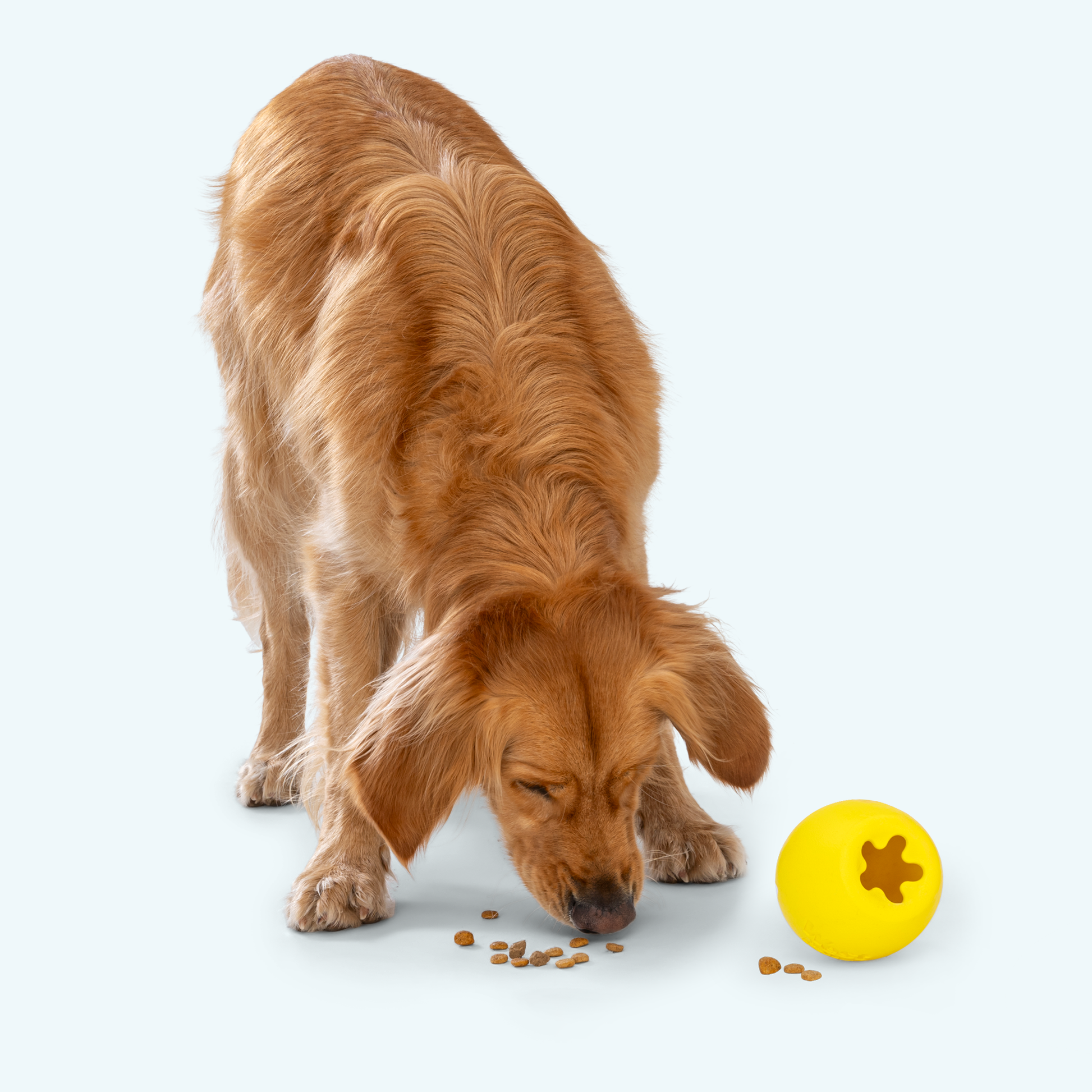 Additional view of the West Paw Rumbl dog enrichment toy