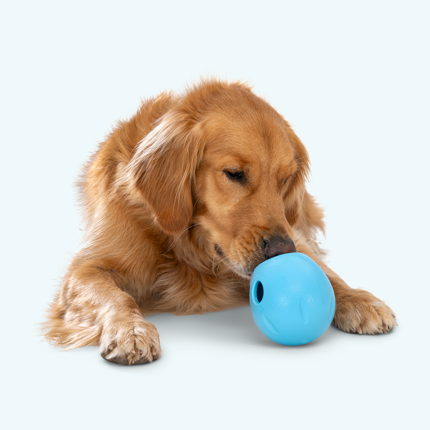 Additional view of the West Paw Rumbl dog enrichment toy