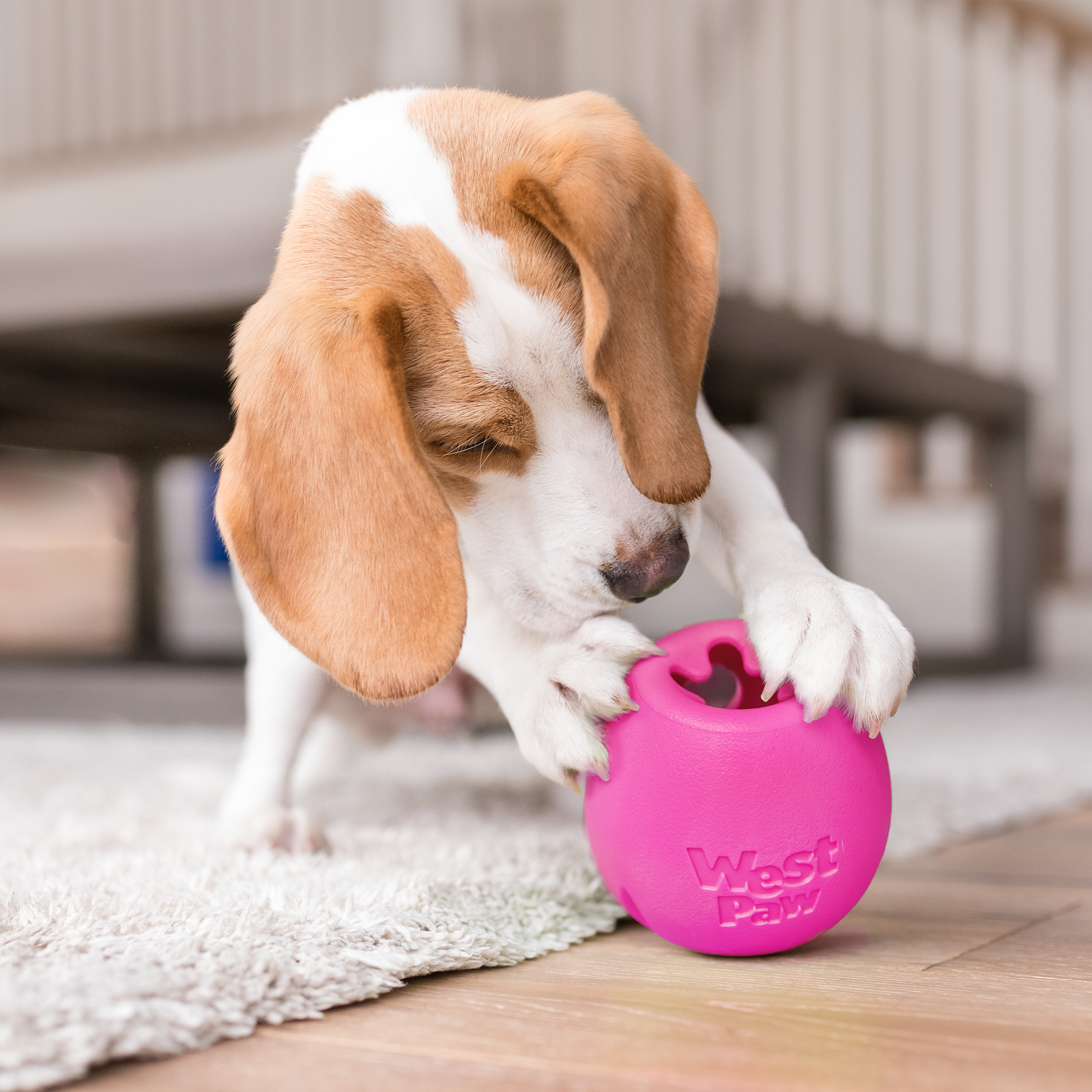 Additional view of the West Paw Rumbl dog enrichment toy