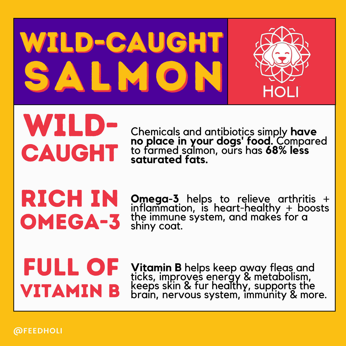 Wild-Caught Salmon Dog Food Topper