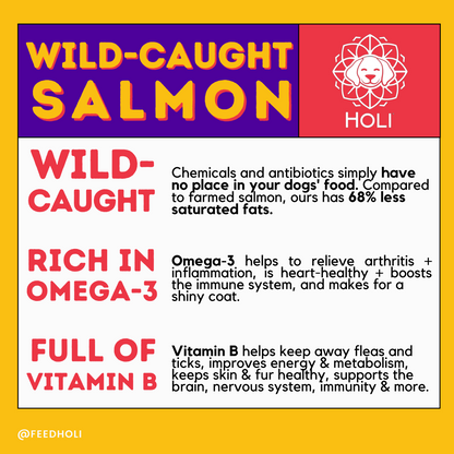 Wild-Caught Salmon Dog Food Topper