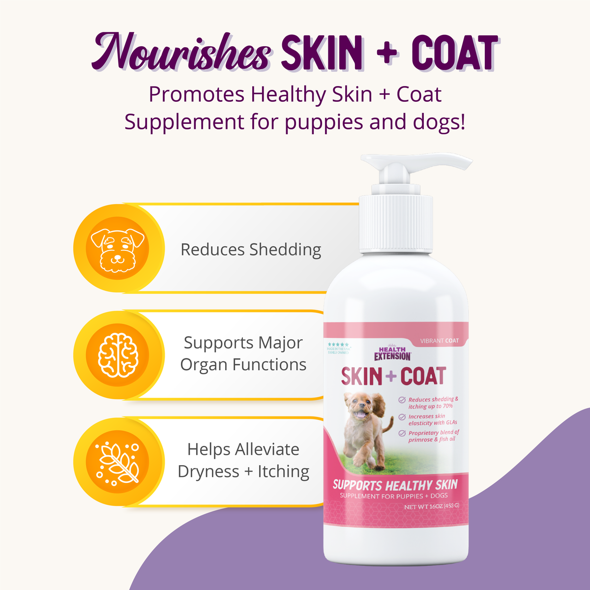 Healthy Skin & Vibrant Coat Supplement