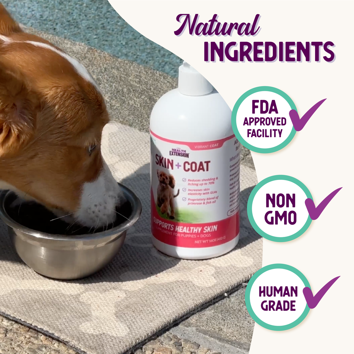 Healthy Skin & Vibrant Coat Supplement