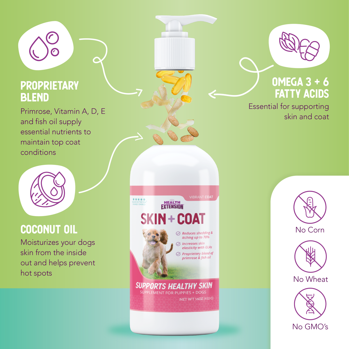 Healthy Skin & Vibrant Coat Supplement