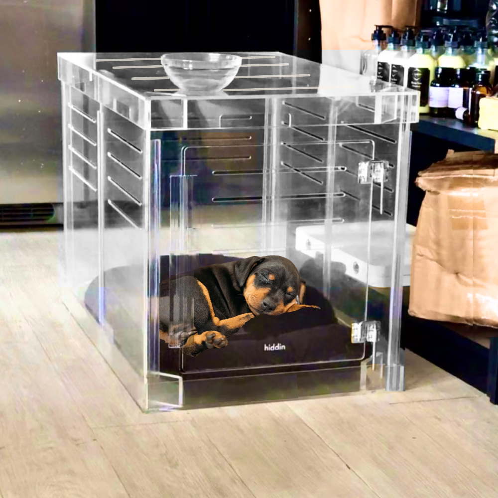 Black dog with Hiddin Medium Clear Pet Crate