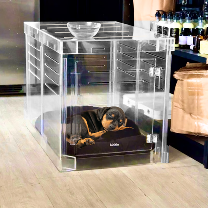Black dog with Hiddin Medium Clear Pet Crate