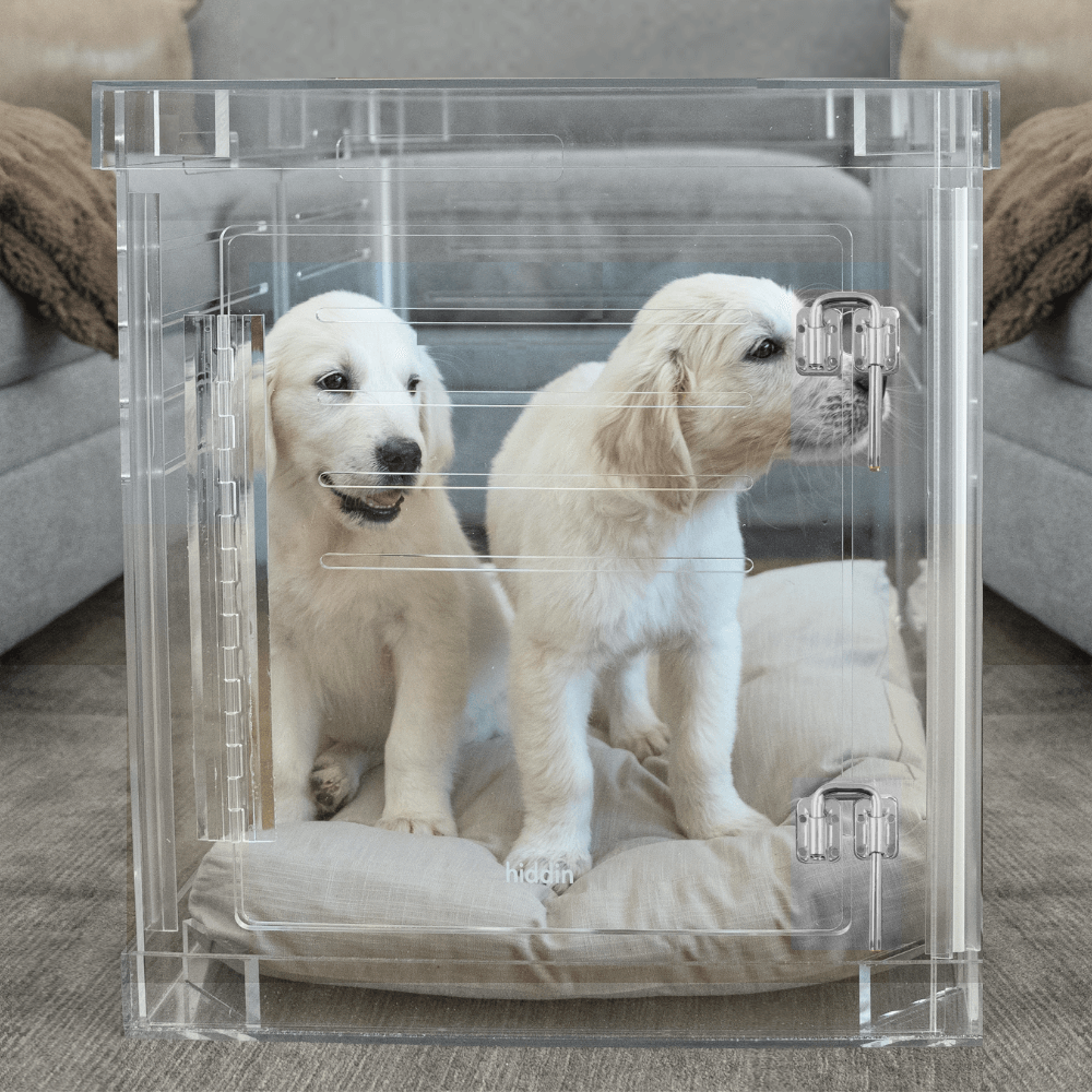 Hiddin clear pet crate size comparison